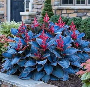 Хоста Грин Фог купить по цене от 669р. в интернет-магазине «Посадика» с доставкой почтой в в Верхний Уфалейе и по всей России – [изображение №1].